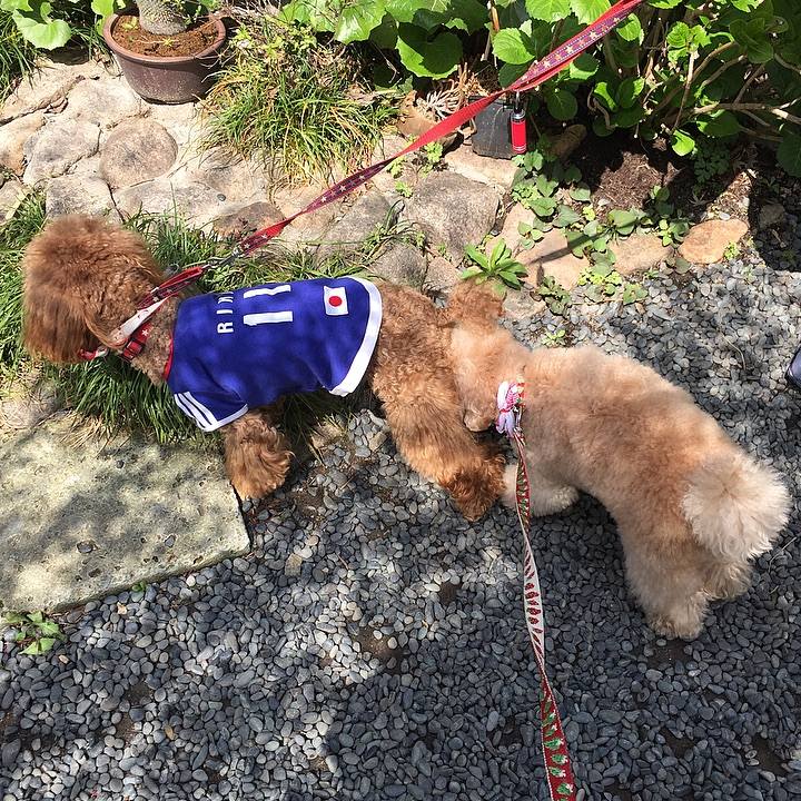 B47a240c 45b8 4f89 9b1a 62707ebc05c3