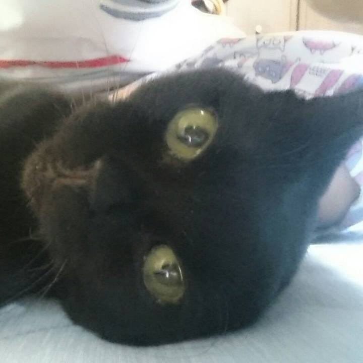 B47b7871 4c71 4807 9d2a b7ff8d9d2c96