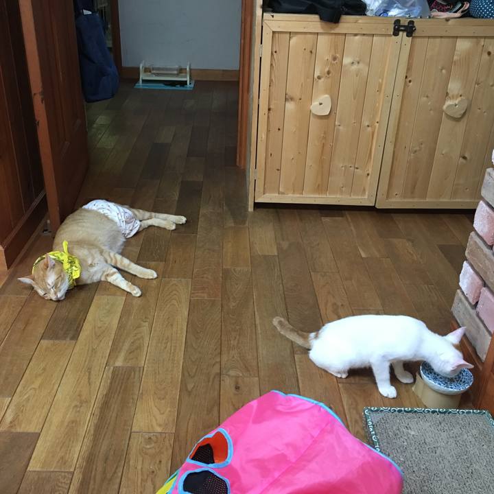 B47c53dd 52b2 4ab9 add8 50ba278c437a