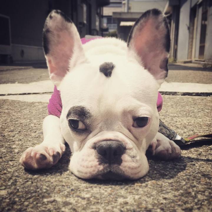 B47cf11b f65d 4f82 aa1d 8525f7c07292