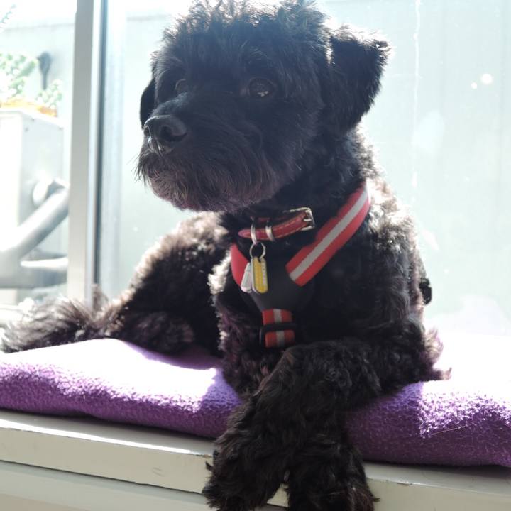 B47cf3d2 1ed8 4e56 b70a c3d67ddeeedd