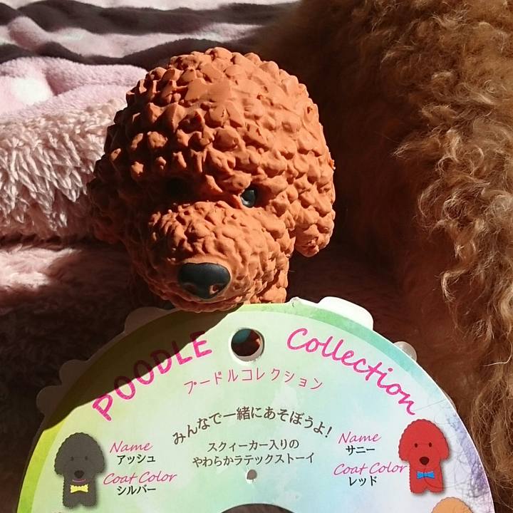 B47d0759 7b31 41d7 90d7 0598e8cef53a