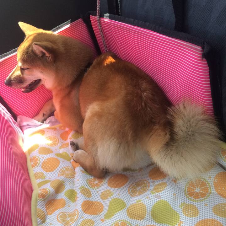 B47db92a affe 4603 b0b0 a505d4497060