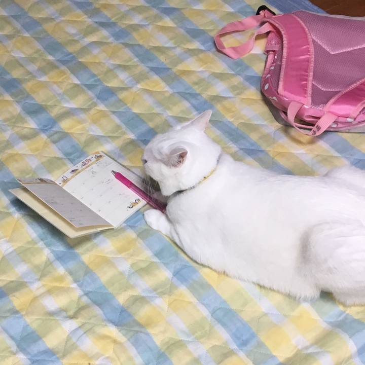 B47df89c 4df6 468f bc36 828fd0067c13