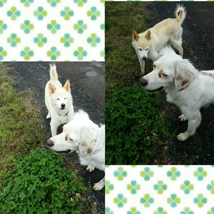 B47dfddf 675a 4315 9164 8a646279600f