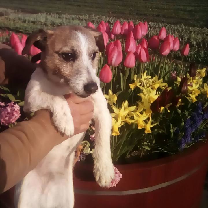 B47f1fe8 28a2 4c97 bf37 8a742f6d5447