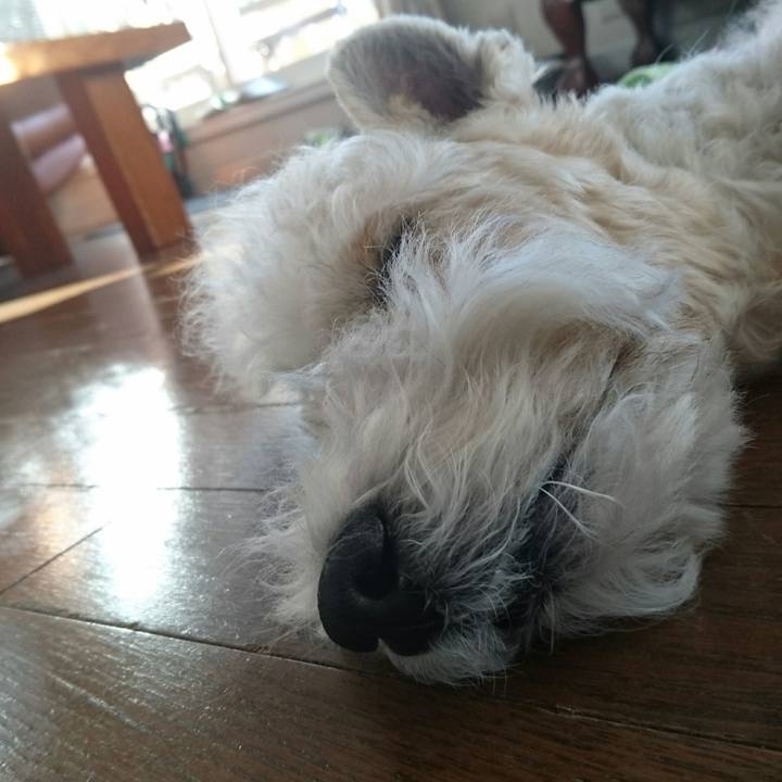 B47f2372 d28f 4fd4 84c4 08d88ec87096