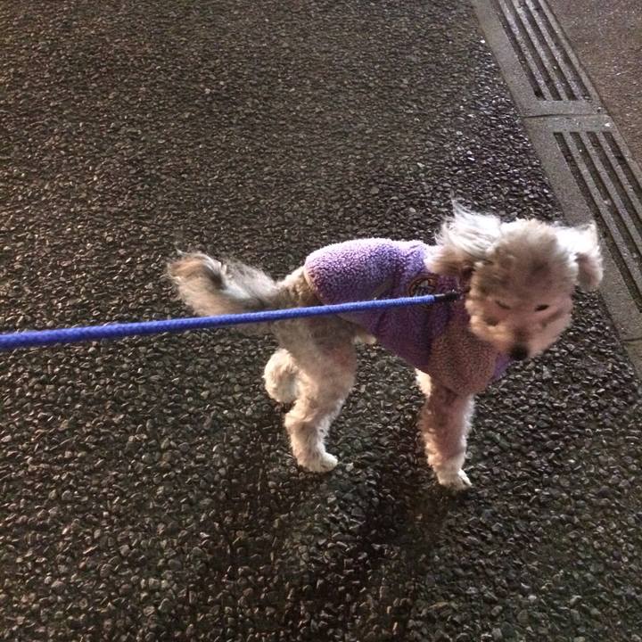 B480510c fe44 4dc1 903f 1db7dc05a418