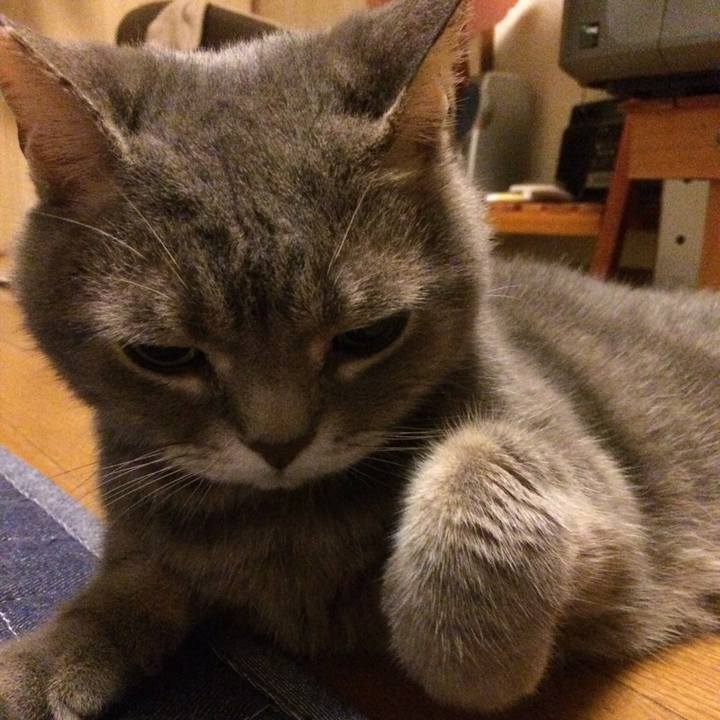 B480cde2 982a 464b 88c5 bc2ed0edf091