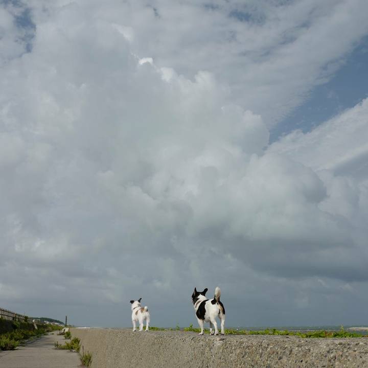 B480f4f6 2347 41d2 aa19 00d93e505ad7