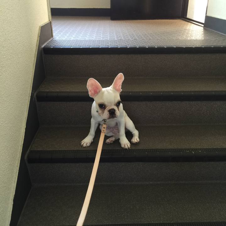 B48109c9 e686 44ff 8b89 faebdd61f0ec