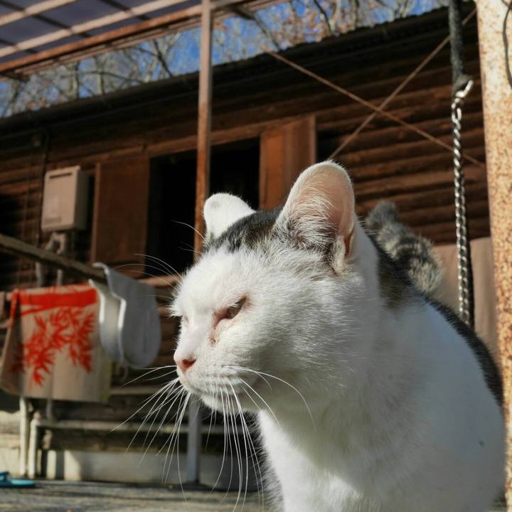 B48115f0 548f 4b1b bcb6 e2c93695251a