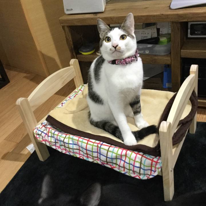 B481664c 799b 4e8d b7d1 e8ac0edffb12