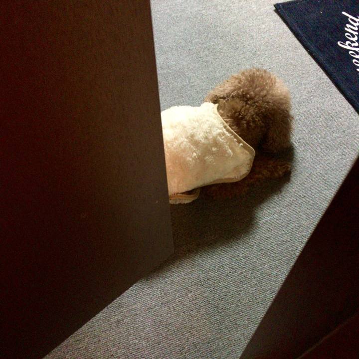 B4817b32 9220 45b1 9c64 392eb6b1649e