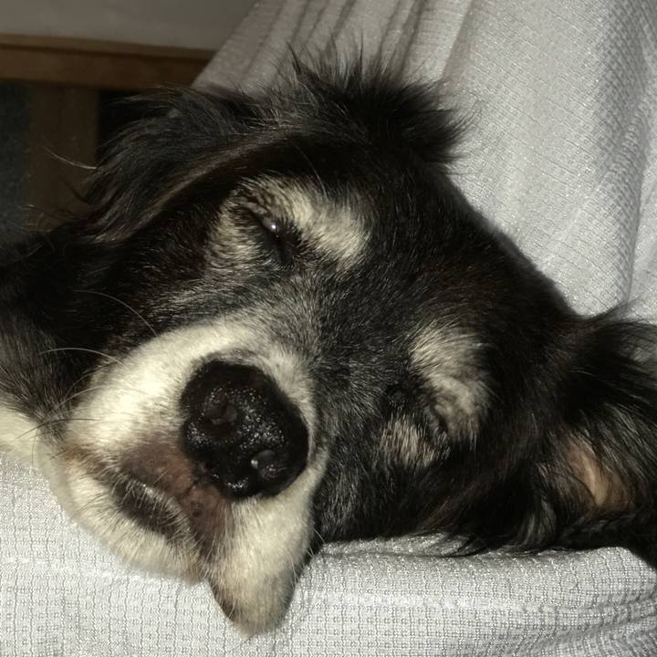 B4825392 d89c 44b1 abc1 4a05272fc5b3