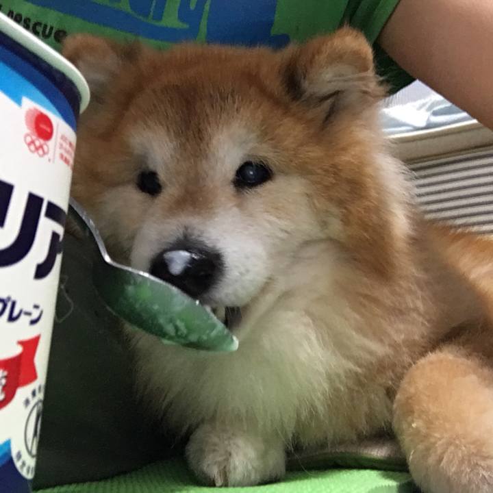 B4827153 b056 4916 acd4 233ea6b42456