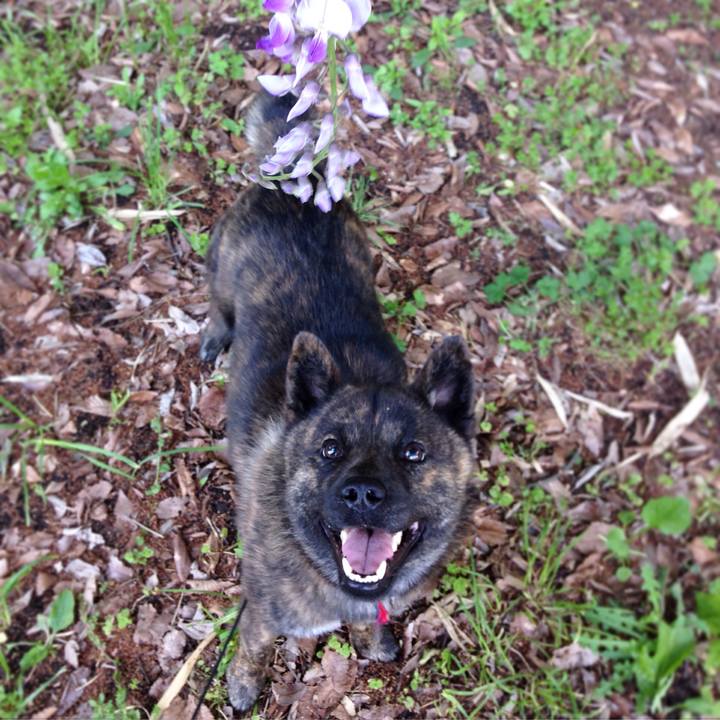 B4829465 8bf2 4307 a4f5 63d390d4c13c