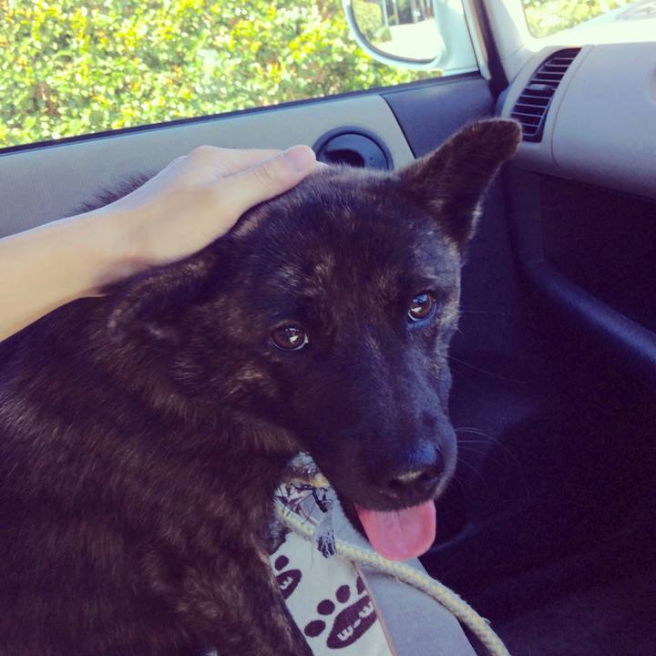 B482c8a8 387f 4ba3 9f9a 47c53a518c70