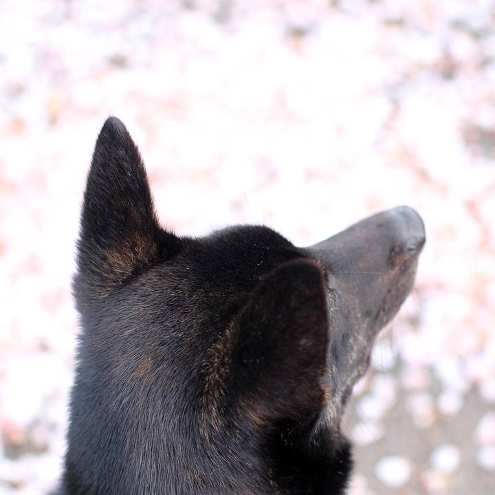 B482cf86 71f0 4df0 8c8d f493c3715c49