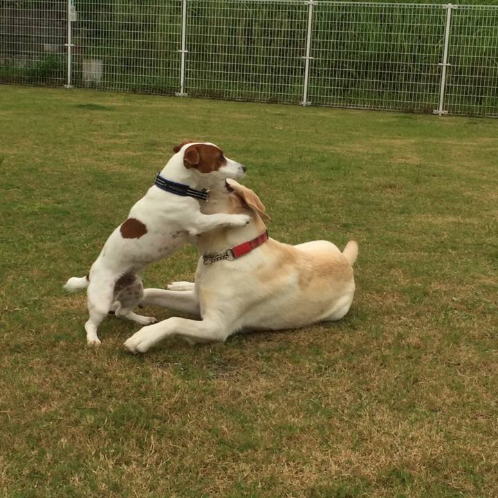 B482cfeb e3a5 4c33 aa27 8ef86f5f4fa7