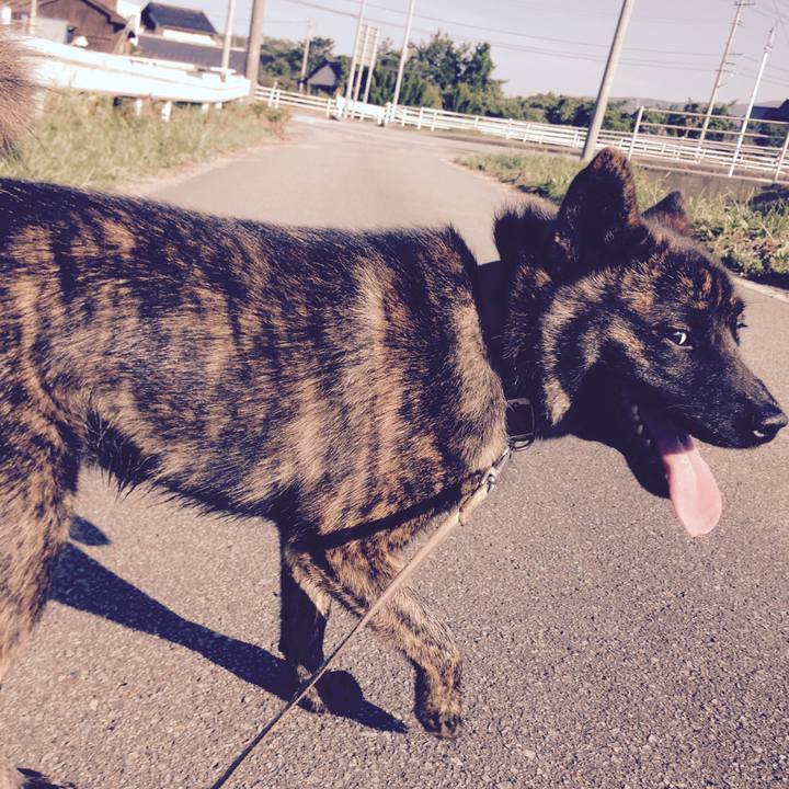 B4837752 50e8 4237 912b 513a9564100c