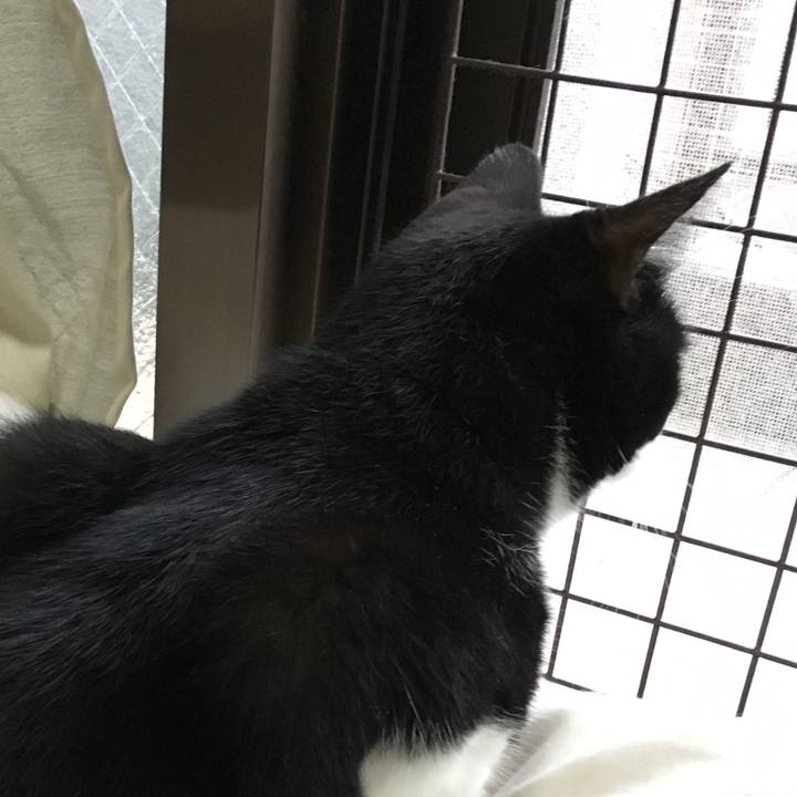 B483fd11 c0ee 4b10 a8cd 753573fb71c6