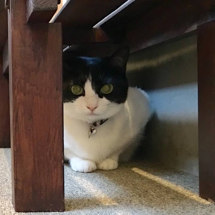 B4840202 05cc 44c9 baab e41522dcfc90