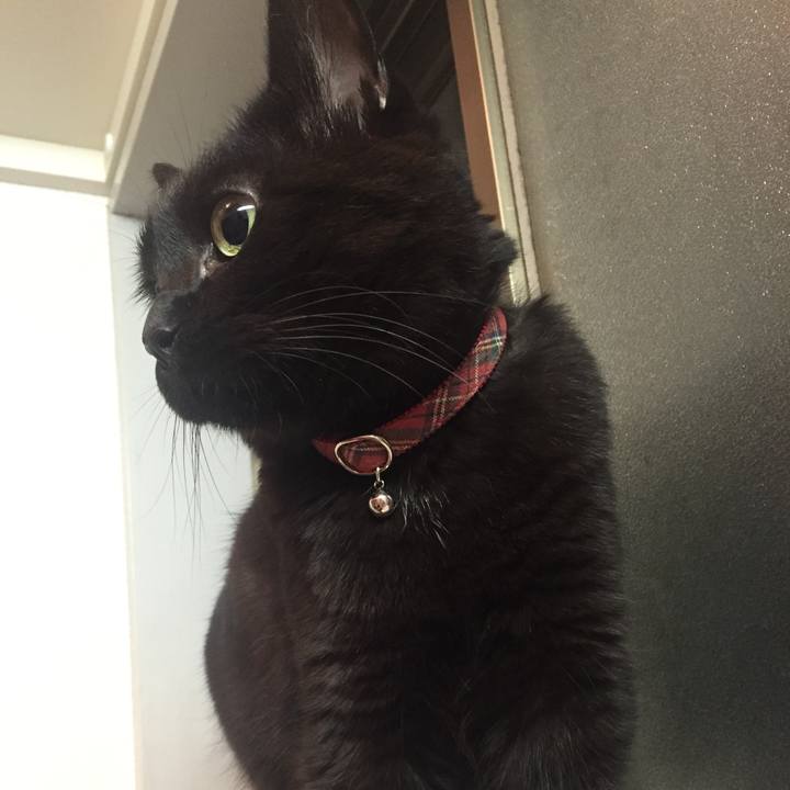 B4847e4c b460 498d 9bc4 f7b8921a9119