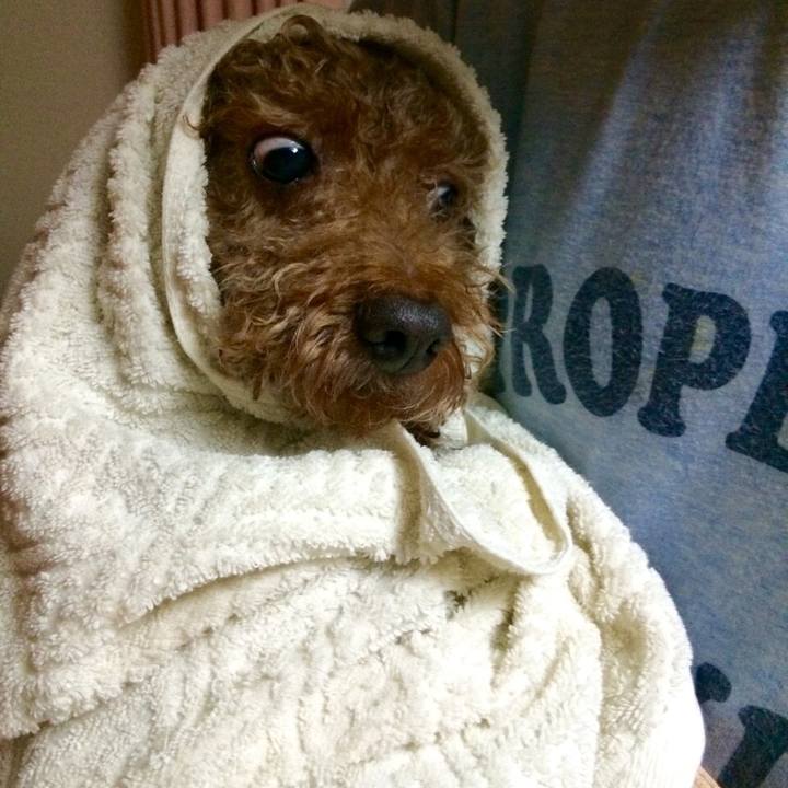 B484de1c fec2 4d3e 94b8 0c2b0a3b1e82