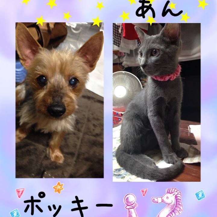 B4850483 f2e2 4e26 a288 38b11fd64afc