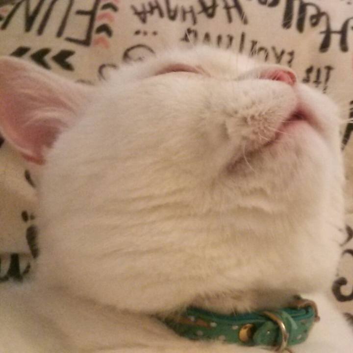 B4851788 e218 48b2 802e 7f6e0d5f5deb