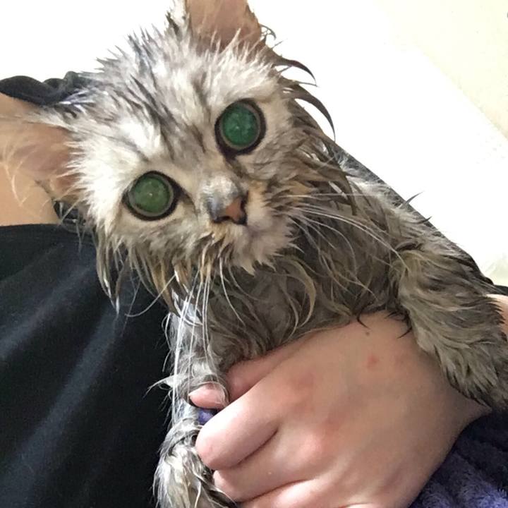 B48525b3 5cd7 4169 89c1 ee81b3a59899