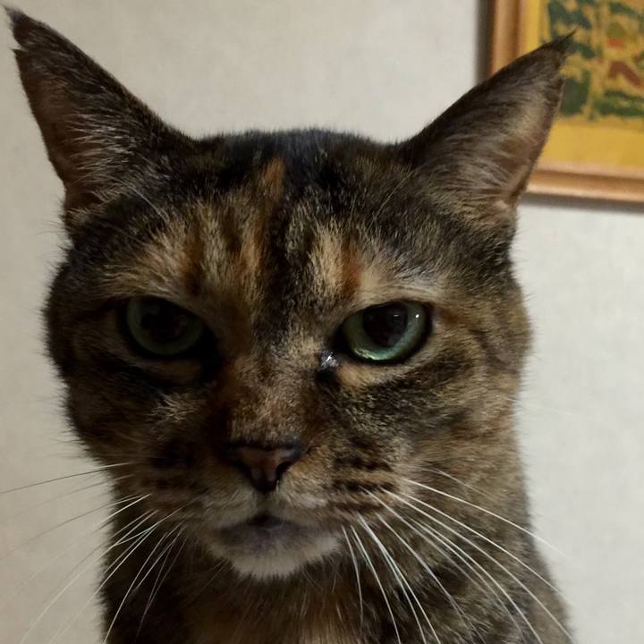 B4852ee6 6fc1 424e 8f00 c6fdb13ff990