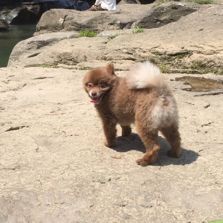 B4861a16 54c0 4b9e 8e8e 470a3fefc5ba