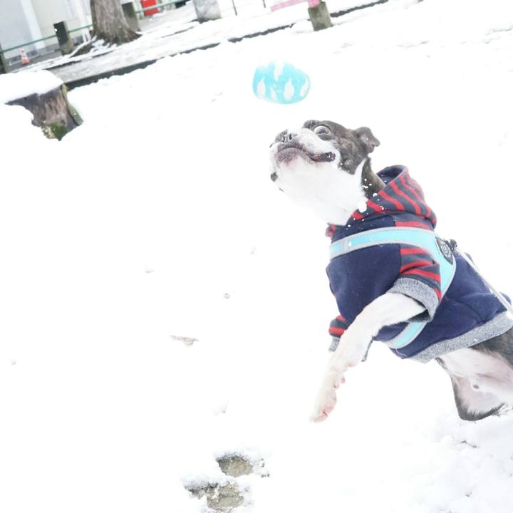 B486dd44 516a 4c66 89d7 bb5275c52901