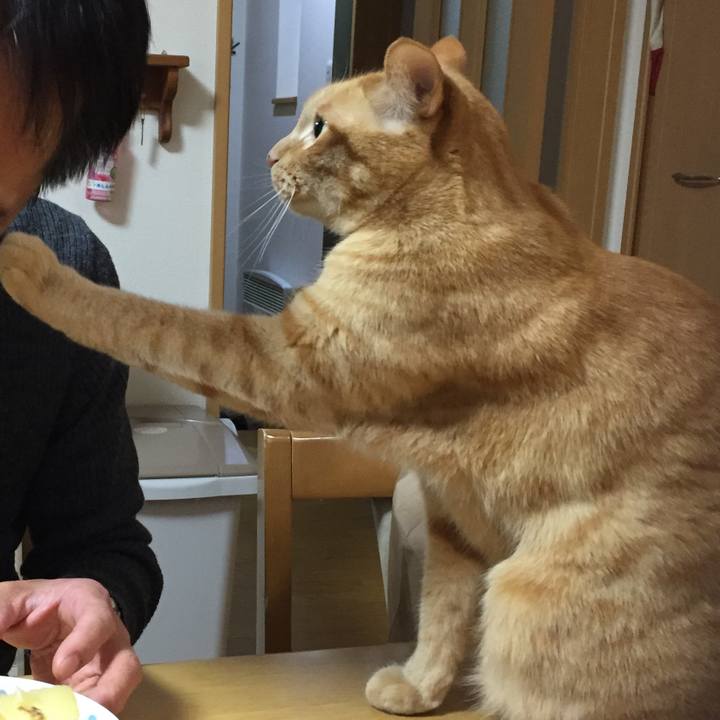 B486f13b a9a6 496c 8345 7a2aed4aaa2b