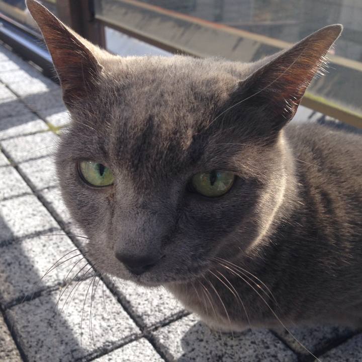 B488014e b3d5 4796 a5a5 3d252dae2f02