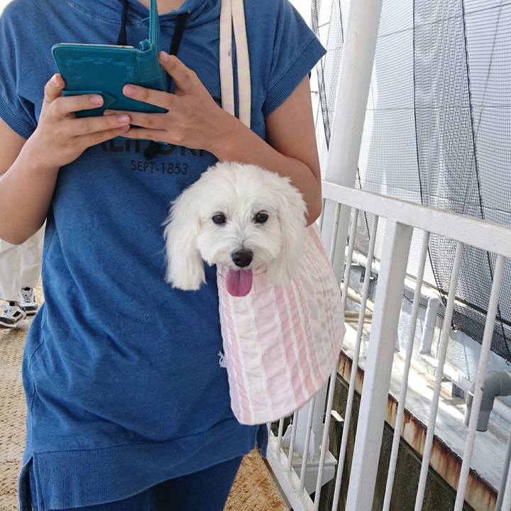 B488825d 4154 44eb b297 3b9284ac2d22