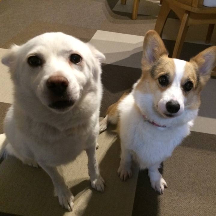 B48923c2 9c39 44f5 87d2 e9428a26d60b