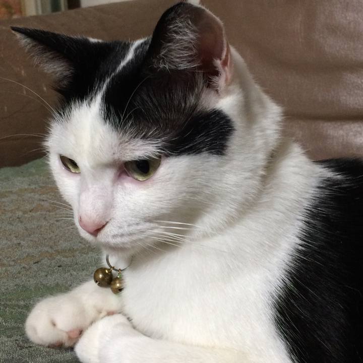 B48992b5 bb91 4d73 8bfe 7914c5ef7ee5