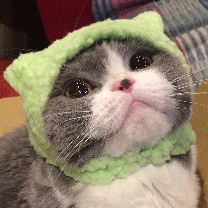 B489f5c4 9f46 467b 91ea 8f6d4304a5f0