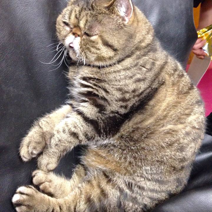 B48a39ff e423 49a5 b041 e962a8bb272d