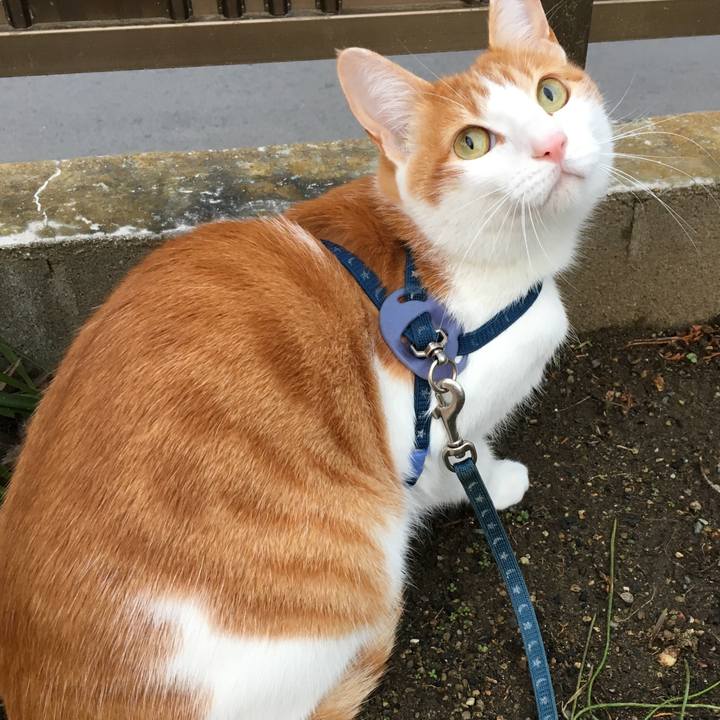 B48a6b84 ddeb 4388 8d4f 2a2ab86acbae