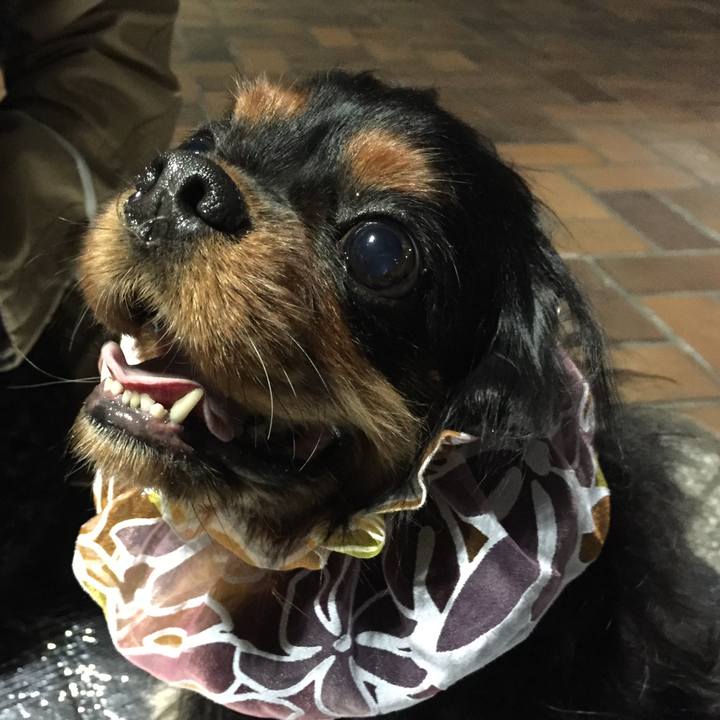 B48aa83a 5d94 40e1 b239 fd70d46f3a17