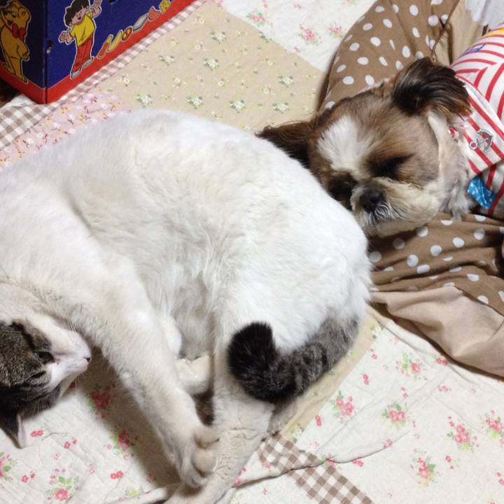 B48b72ac c28f 40c9 82ca 6aef1449a7a6