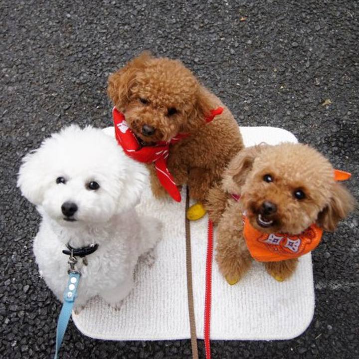 B48bddba 31be 4ef9 b59e 798c1788208a