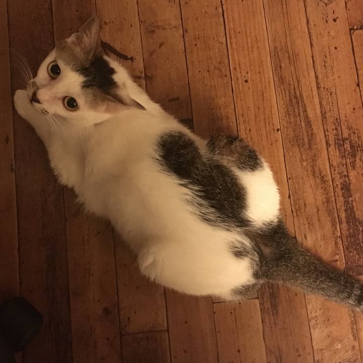 B48be639 4957 429d 83cf 04d6449ef623