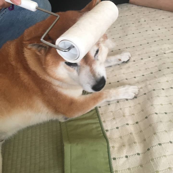 B48c1516 6bda 4f76 ae4b 83d75fd85010