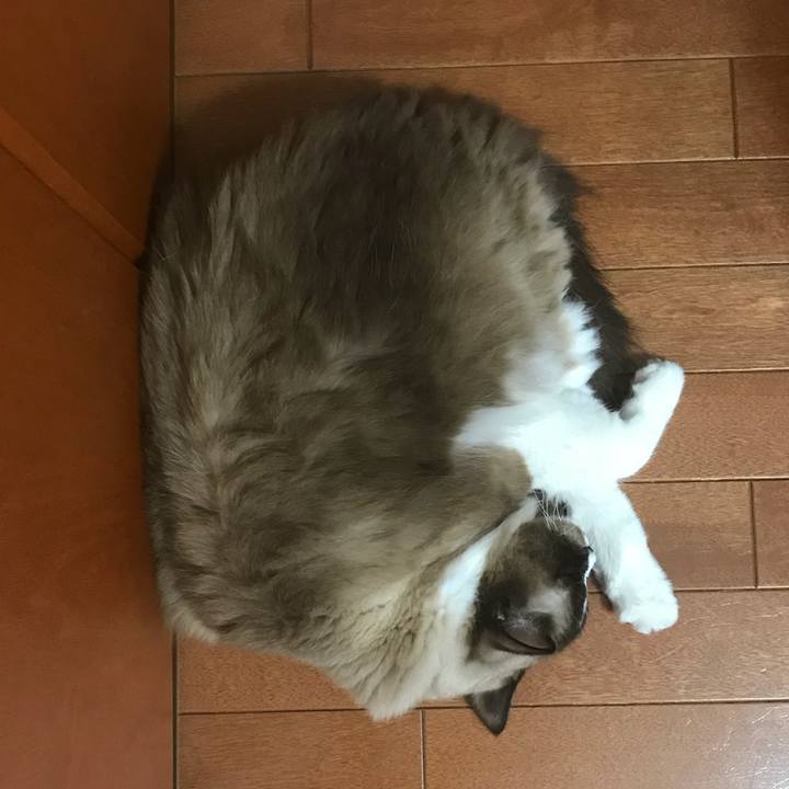 B48c9fca 6aec 4c8d ab14 ffc9e64a7b78