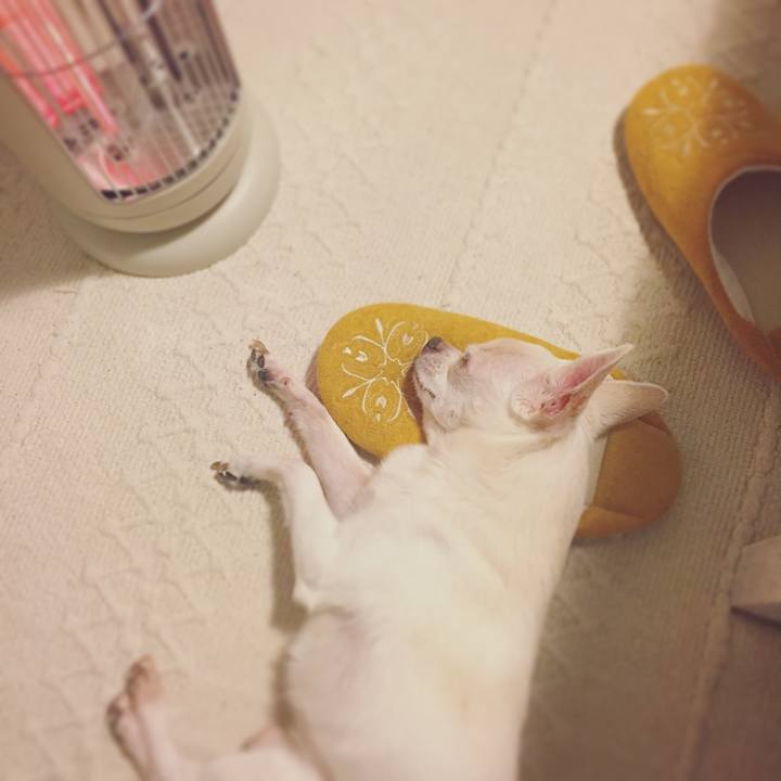 B48d30f7 fd93 42c2 90fc c2b410c91f80